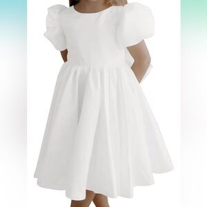 Satin flower girl dress NWT